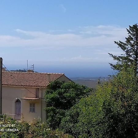 Duplex Avec Jardin, Proche Village Calenzana Exterior photo