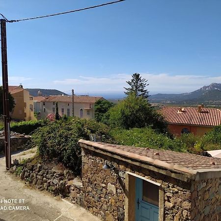 Duplex Avec Jardin, Proche Village Calenzana Exterior photo