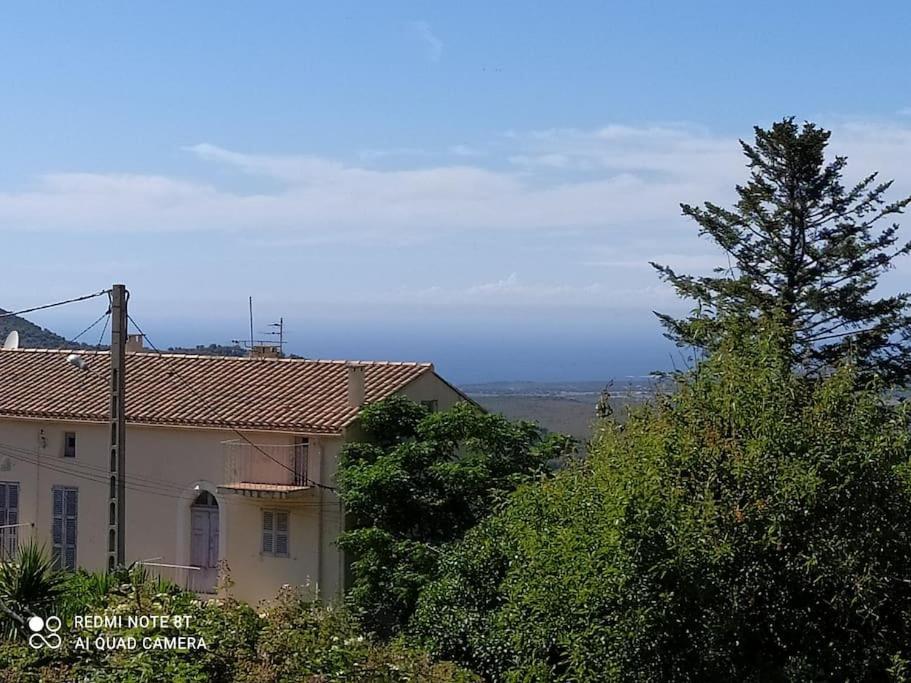 Duplex Avec Jardin, Proche Village Calenzana Exterior photo